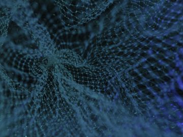 Data Privacy Day 2024: Part 2 Data Privacy Day 2024: Part 2