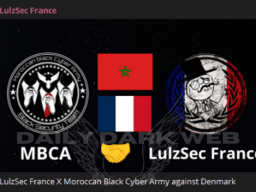 LulzSec And Moroccan Black Cyber Army Unite Against Denmark