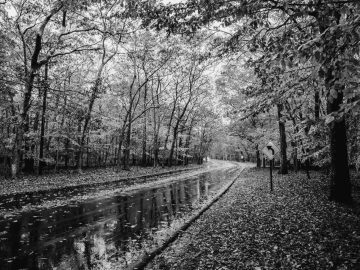 The Past Present and Future of Chief Information Security Officers