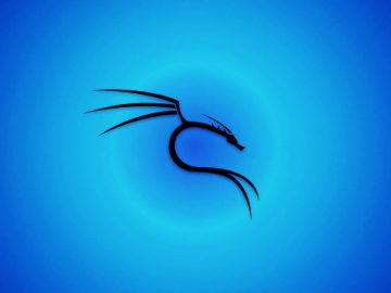 Kali Linux 20241 released with 4 new tools UI refresh