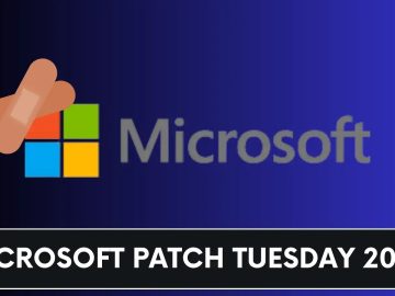 Microsoft Patch Tuesday 2024 73 Security Flaws.webp