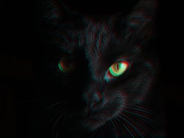 BlackCat ransomware shuts down in exit scam blames the feds