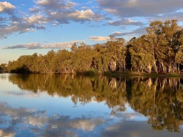 Murray Darling Basin Authority hunts for new CIO Training.jpgh420w748c0s0