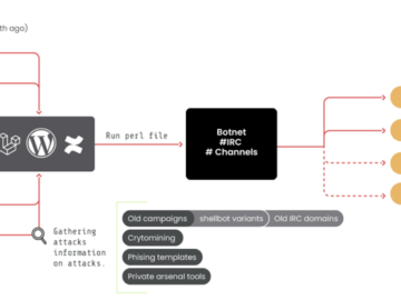 10 Year Old RUBYCARP Romanian Hacker Group Surfaces with Botnet