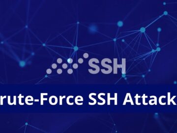 Brute Force SSH Attacks Rampant in the Wild.webp