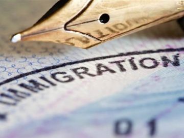 Gov asked to explain automated decision plans in migration, biosecurity – Software Gov asked to explain automated decision plans in migration, biosecurity