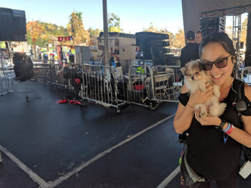 Hack My Career Meet Frances H