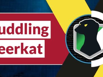 Muddling Meerkat Using DNS As A Powerful Weapon