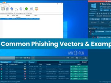 5 Common Phishing Vectors and Examples.webp