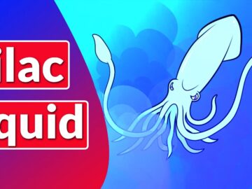 LilacSquid Hackers Attacking IT Industries To Harvest Confidential Data.webp