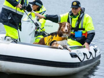 VRA NSW beefs up radio network, adding LTE and satellite backhaul – Telco/ISP – Networking VRA NSW beefs up radio network, adding LTE and satellite backhaul