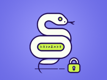 Hackers Target Python Developers with Fake “Crytic-Compilers” Package on PyPI Package on PyPI