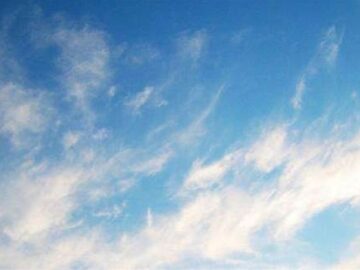 How Apple used Google’s help to train its AI models – Hardware How Apple used Google's help to train its AI models