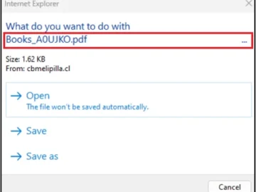 IE warning 10072024.webp