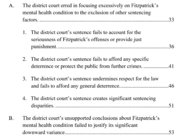 Justice Department Judges Conor Fitzpatricks Sentence To Be Light.webp