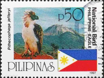 Philippine Department Of Migrant Workers Switches To Manual Systems After.webp