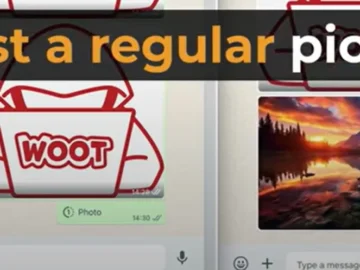 WhatsApp’s “View Once” Bug Lets Hackers Save Messages WhatsApp's View Once