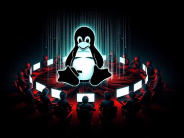 Decade Old Linux Vulnerability Can Be Exploited for DDoS Attacks on