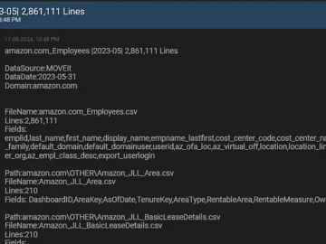 Massive troves of Amazon, HSBC employee data leaked Massive troves of Amazon, HSBC employee data leaked