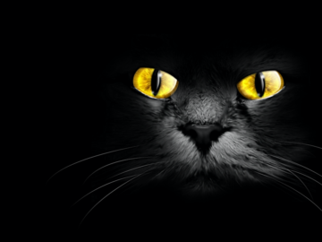 BlackCat gang uses legitimate pen testing tool to attack its victims | Cybernews BlackCat gang uses legitimate pen testing tool to attack its victims | Cybernews