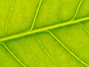 Latest Alibaba AI model demos AI improvements