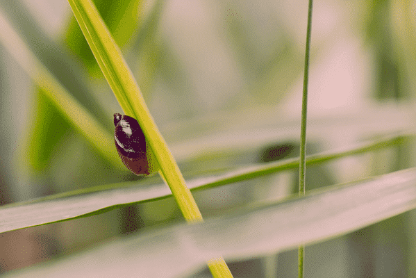 Managing Balances Managing Balances