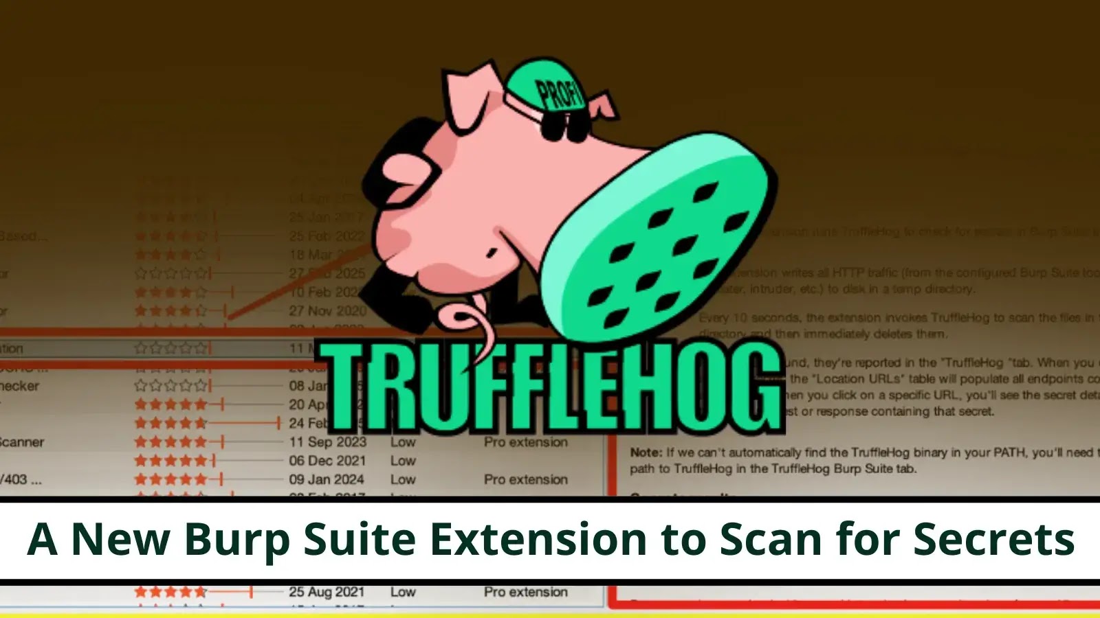 New Burp Suite Extension for Secret Scanning Released