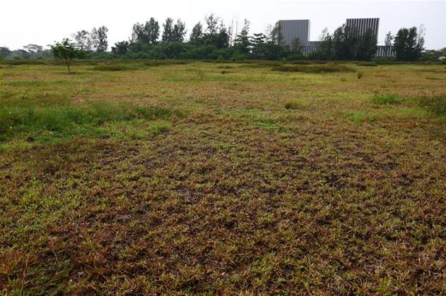 Secretive Chinese network tries to lure fired US gov workers – Security Secretive Chinese network tries to lure fired US gov workers