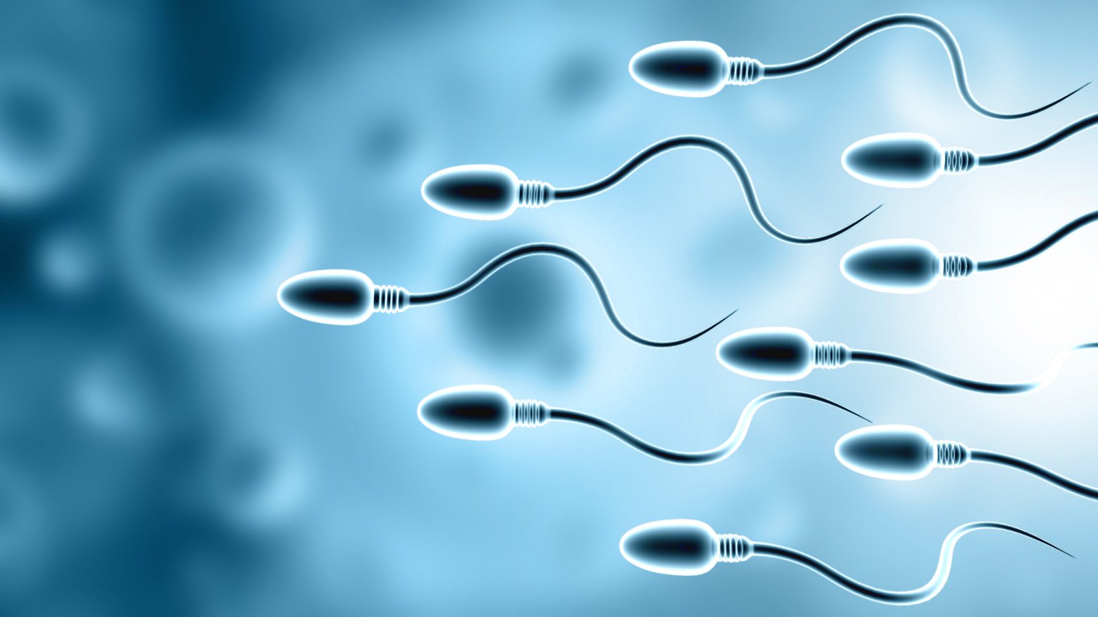 Sperm