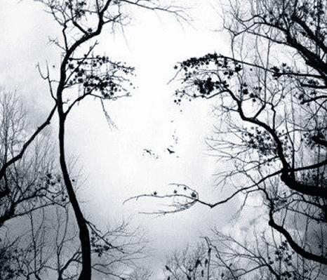 A Brilliant Piece on Fashion