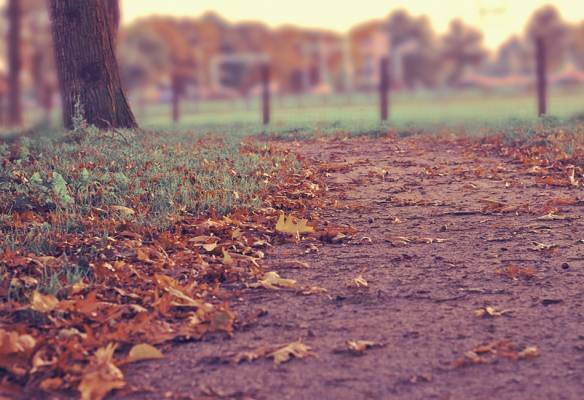 Atheistic Societies Are Happy Societies Atheistic Societies Are Happy Societies