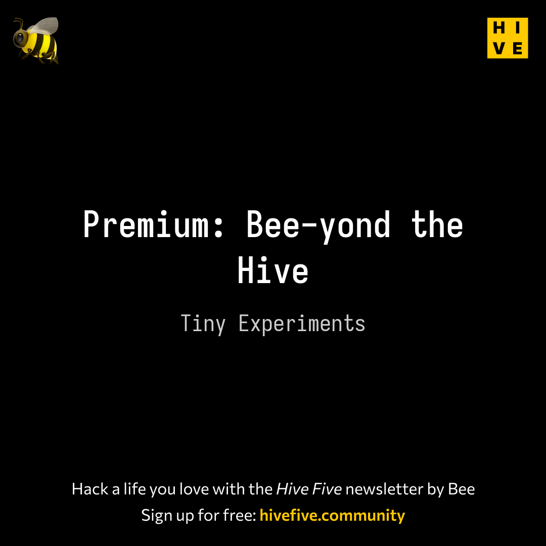 Bee-yond the Hive: Debug Your Day