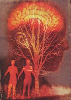 Contemplating Confirmation Bias | Daniel Miessler