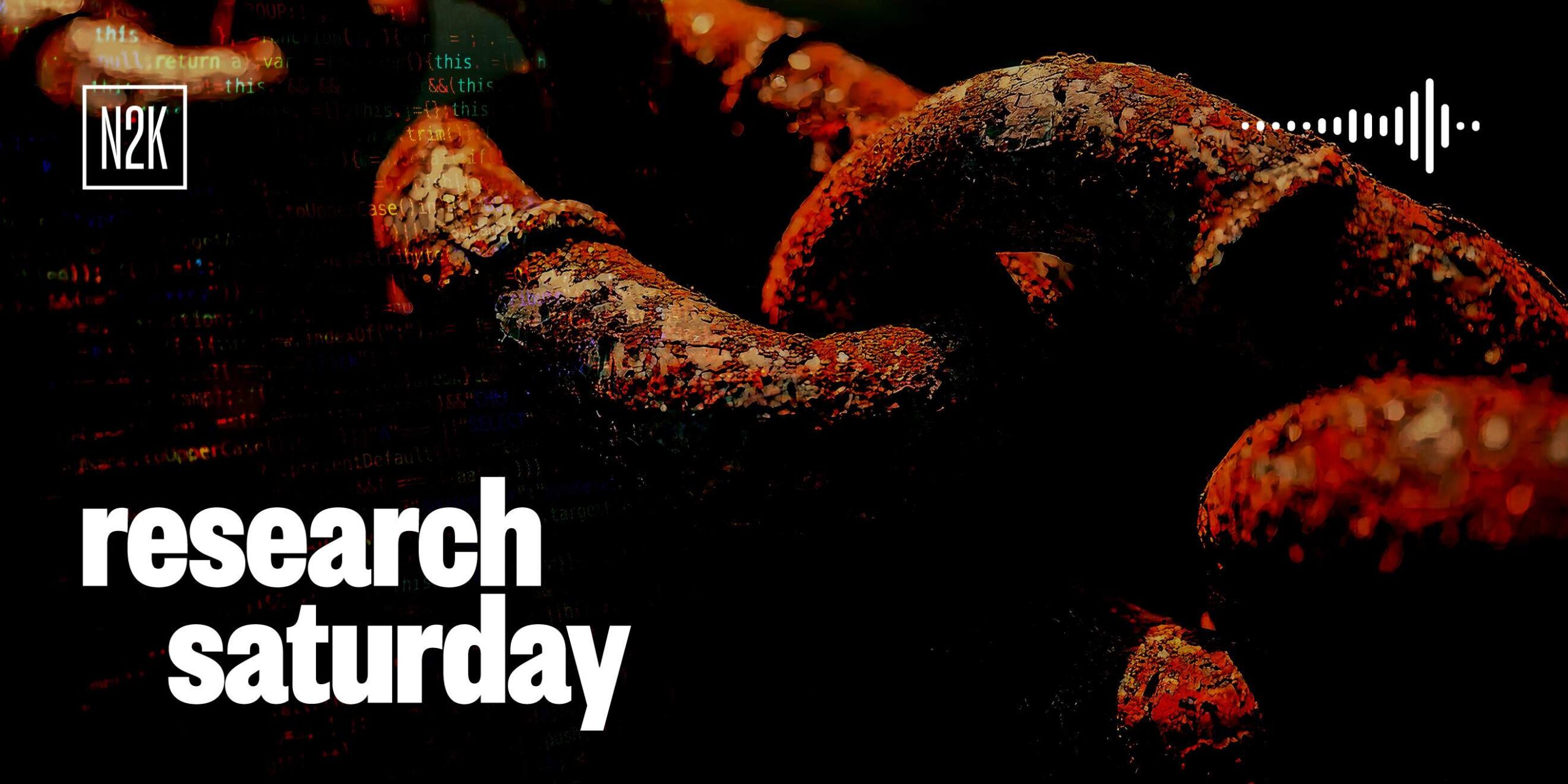 Crafting malware with modern metals. N2K CyberWire