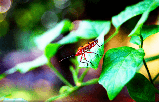 Don’t Anticipate Greatness | Daniel Miessler Don’t Anticipate Greatness | Daniel Miessler