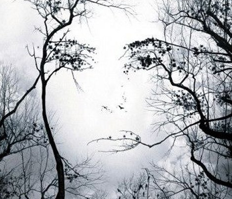 Embracing the Illusion of Free Will