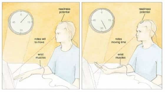 Free Will: The Necessary Delusion Free Will: The Necessary Delusion