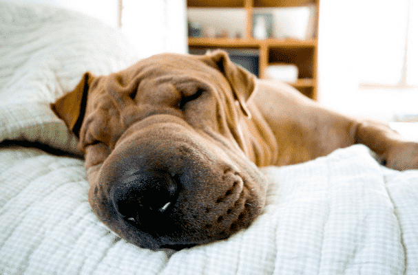 Get Tired | Daniel Miessler Get Tired | Daniel Miessler