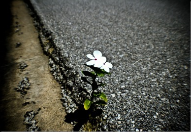 Information Security Resilience | Daniel Miessler