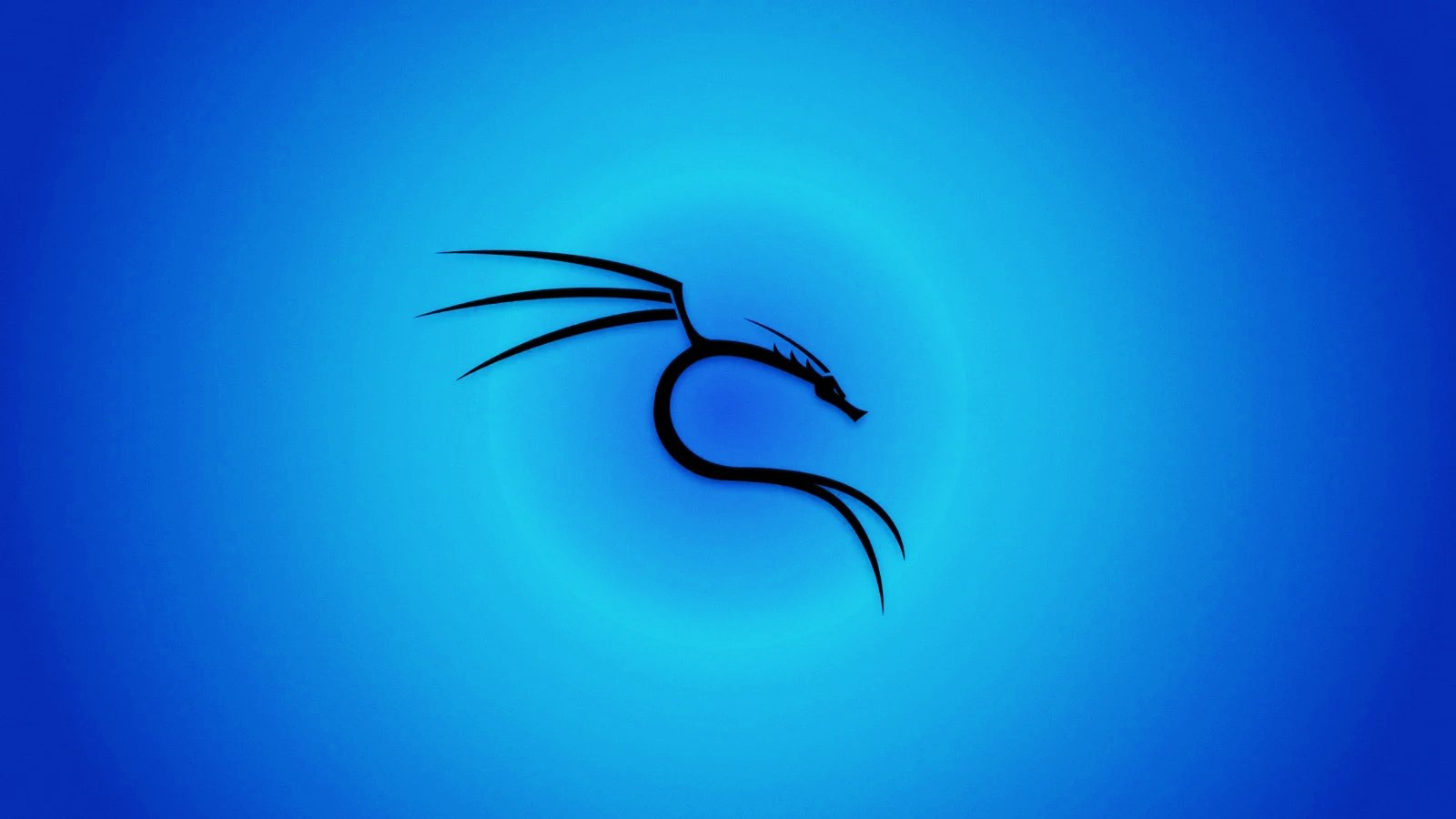 Kali Linux warns of update failures after losing repo signing key Kali