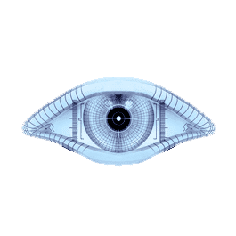 Nmap: Use the –top-ports Option for Both TCP and UDP Simultaneously