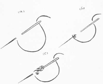 Religious Moderates Are Those Who Reject God’s Clearly Stated Commands Using Their Own [Human] Morality as Justification