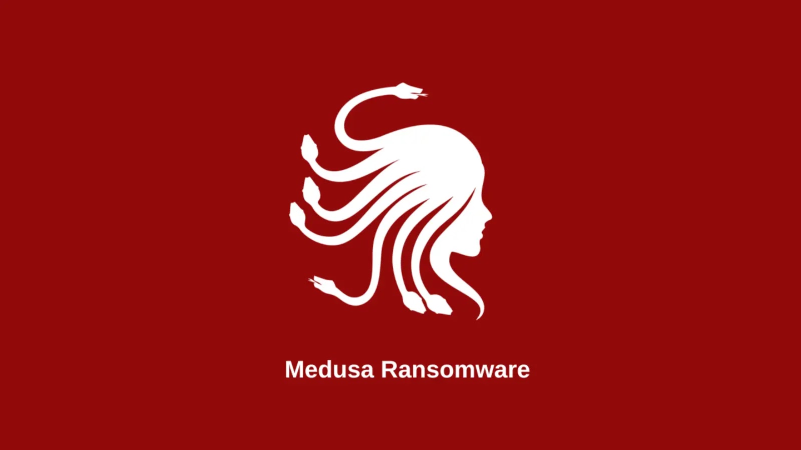 Researchers Expose Medusa Ransomware Group’s Onion Site
