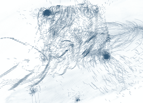 Study: Alternative Data Streams | Daniel Miessler Study: Alternative Data Streams | Daniel Miessler