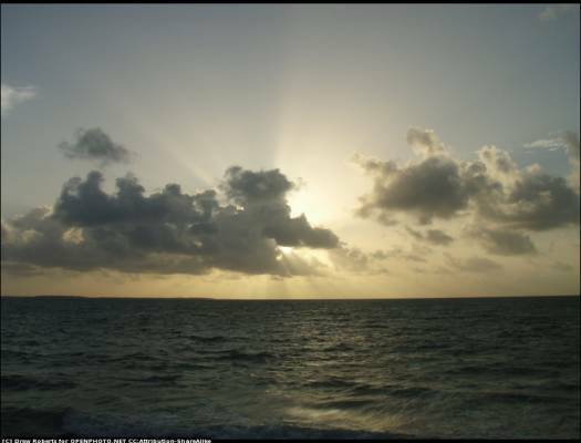 The Alien Social Scientist Test for Meaning The Alien Social Scientist Test for Meaning