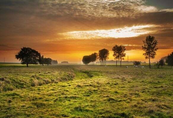 The Prisoner’s Dilemma: The Key To Successful Civilization