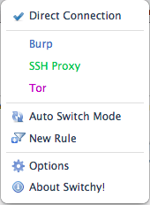 Three Proxy Options Every Security Pro Should Consider Using