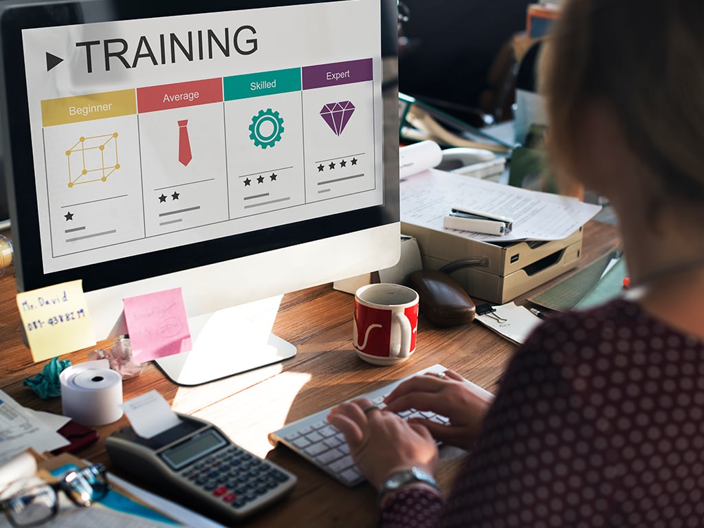 Training Skillset Transfer