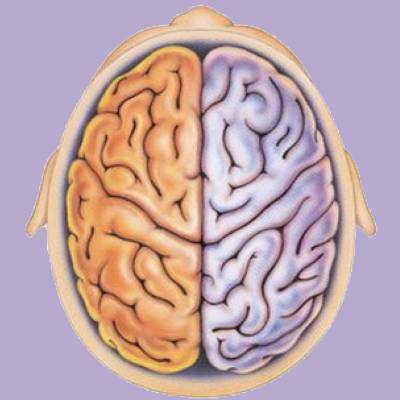 Two Minds on the Suffering Class Two Minds on the Suffering Class