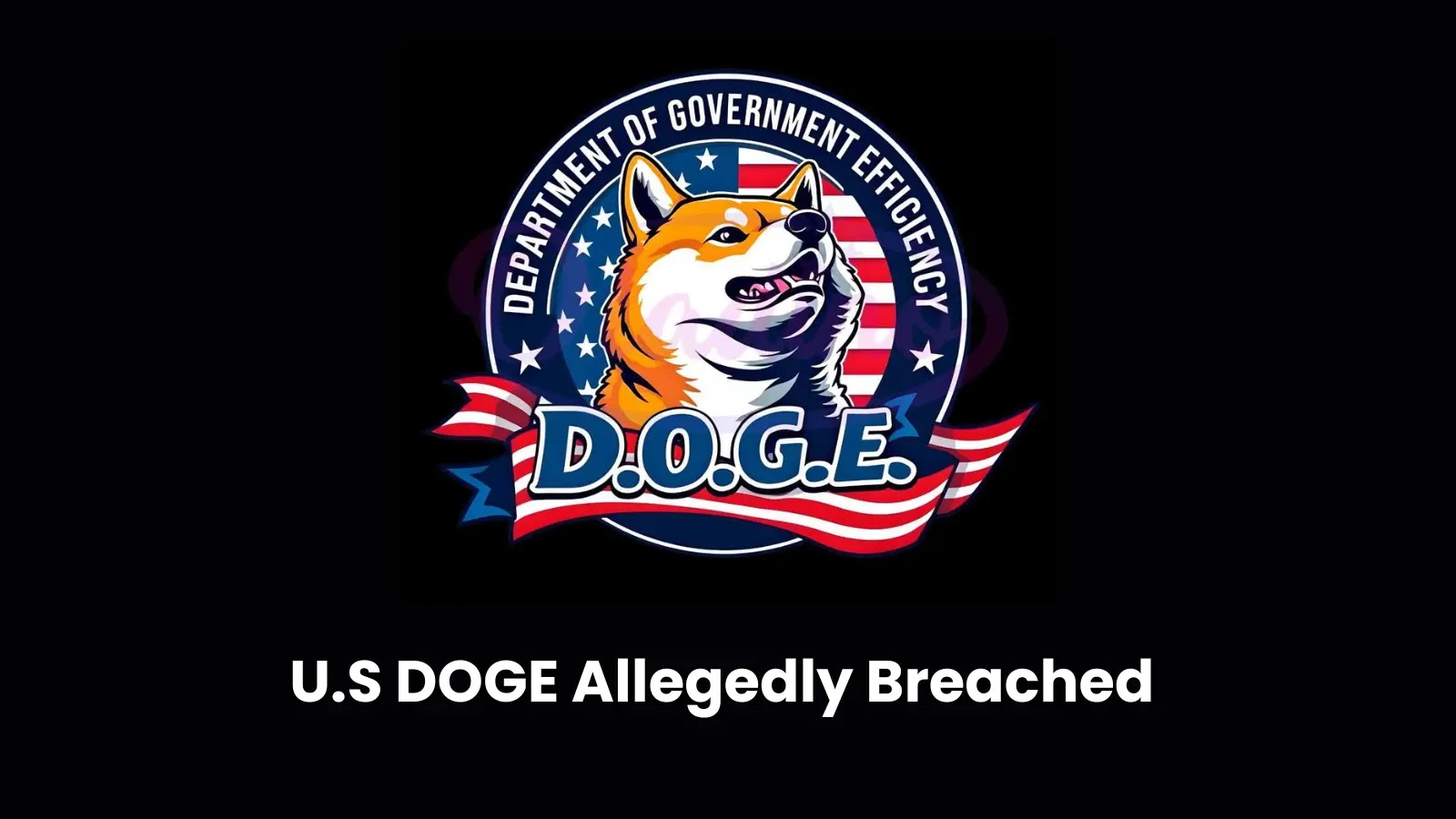 U.S DOGE Allegedly Breached - Whistleblower Leaked Most Sensitive Documents